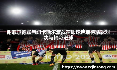 谢菲尔德联与纽卡斯尔激战在即球迷期待精彩对决与精彩进球